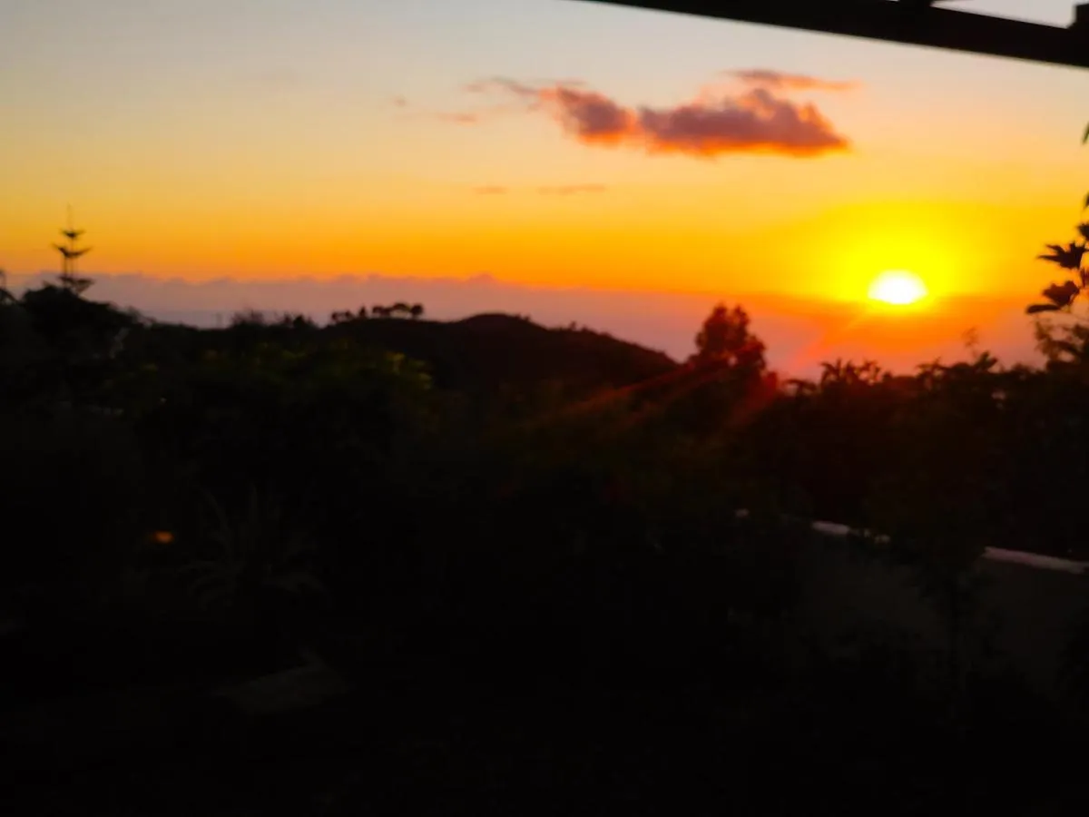La Casa De La Cartita Villa Puntagorda  Puntagorda (La Palma)