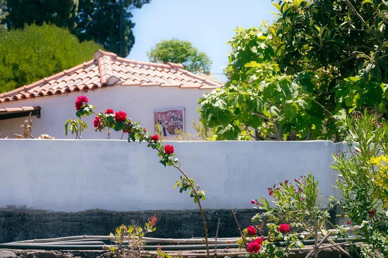 La Casa De La Cartita Villa Puntagorda